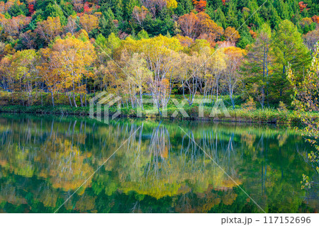 【紅葉素材】秋の志賀高原・木戸池の紅葉【長野県】 117152696