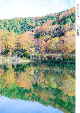 【紅葉素材】秋の志賀高原・木戸池の紅葉【長野県】 【紅葉素材】秋の志賀高原・木戸池の紅葉【長野県】 117152699