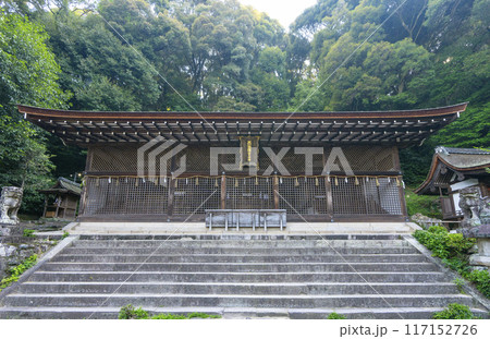 京都宇治　宇治上神社　本殿 117152726