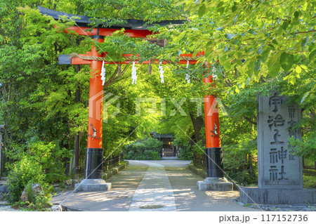 京都宇治 宇治上神社 鳥居 京都宇治 宇治上神社 鳥居 117152736