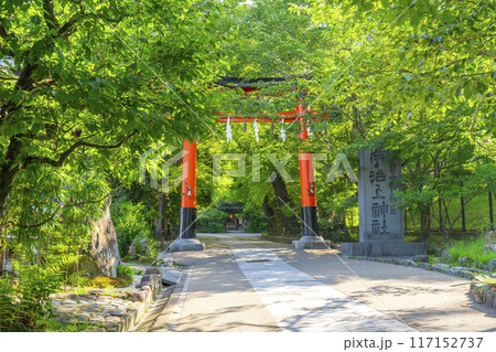 京都宇治 宇治上神社 鳥居 京都宇治 宇治上神社 鳥居 117152737
