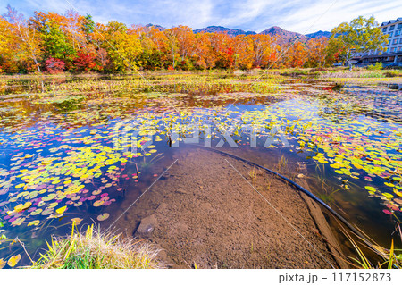 【紅葉素材】秋の志賀高原・蓮池の紅葉【長野県】 【紅葉素材】秋の志賀高原・蓮池の紅葉【長野県】 117152873