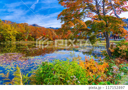 【紅葉素材】秋の志賀高原・蓮池の紅葉【長野県】 【紅葉素材】秋の志賀高原・蓮池の紅葉【長野県】 117152897
