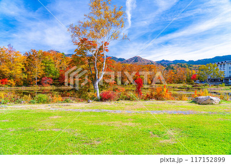 【紅葉素材】秋の志賀高原・蓮池の紅葉【長野県】 117152899