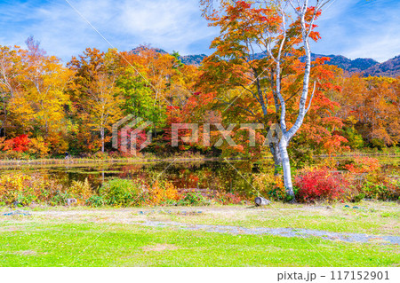 【紅葉素材】秋の志賀高原・蓮池の紅葉【長野県】 117152901