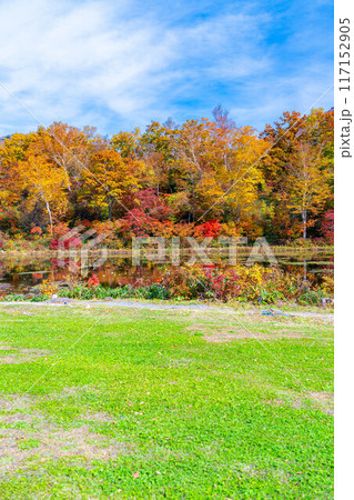 【紅葉素材】秋の志賀高原・蓮池の紅葉【長野県】 117152905