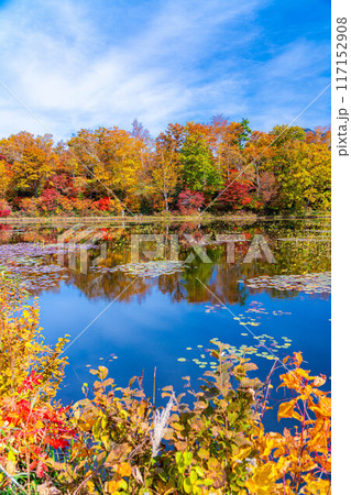【紅葉素材】秋の志賀高原・蓮池の紅葉【長野県】 117152908