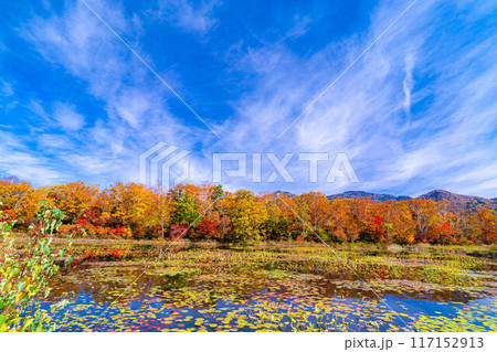 【紅葉素材】秋の志賀高原・蓮池の紅葉【長野県】 117152913