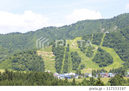 緑の草原に覆われた夏のスキー場斜面 緑の草原に覆われた夏のスキー場斜面 117153197