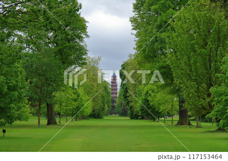 イギリスの首都ロンドン南西部キューの世界文化遺産の王立植物園、キューガーデンの広場とグレートパゴダ 117153464