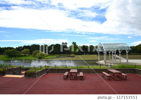 国営ひたち海浜公園 2023-8-12 #7 国営ひたち海浜公園 2023-8-12 #7 117153551