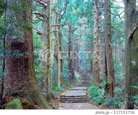 「世界文化遺産」高野山の大門坂（だいもんざか）/熊野古道・中辺路/紀伊山地の霊場と参詣道 117153716