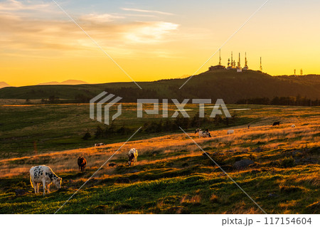 美ヶ原・夕景 117154604