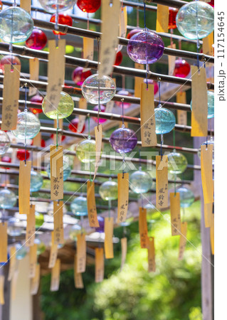 京都 正寿院 夏の風鈴まつり 京都 正寿院 夏の風鈴まつり 117154645