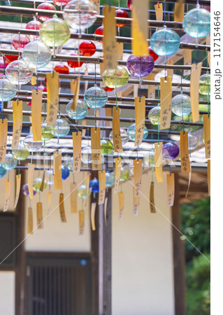 京都 正寿院 夏の風鈴まつり 京都 正寿院 夏の風鈴まつり 117154646