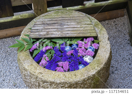 夏の正寿院 花手水 夏の正寿院 花手水 117154651