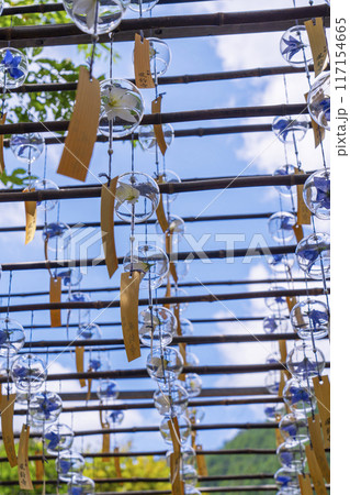 京都　正寿院　夏の風鈴まつり 117154665