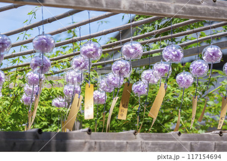 京都　正寿院　夏の風鈴まつり 117154694