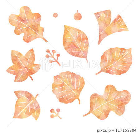 紅葉のイメージ 117155204
