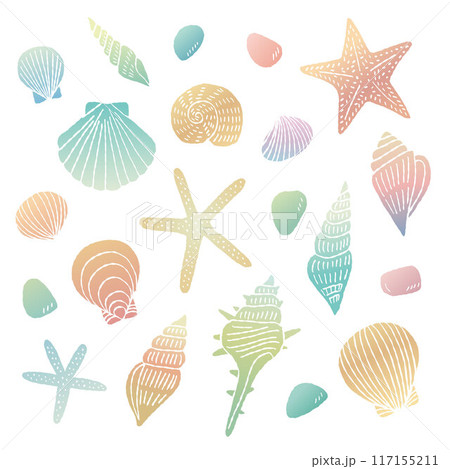 貝がらのイラストセット 117155211
