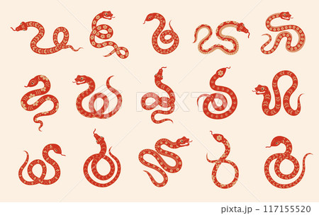 Snakes. New year zodiac symbol simple design template recent vector stylized asian traditional snakes 117155520
