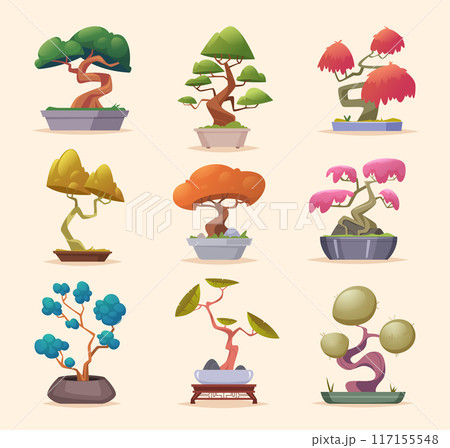 Bonsai tree. Asian decorative garden tree exact vector authentic plants for interior cartoon botanical illustrations set 117155548
