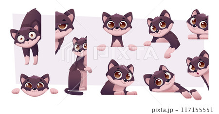 Peeking cat. Looking up and down head of domestic animal exact vector cats collection 117155551