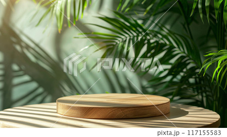 Wooden Platform Against Tropical Greenery With Sunlight and Shadow 117155583