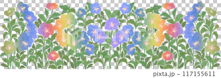rose of sharon border 117155611