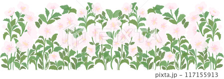 rose of sharon 117155913