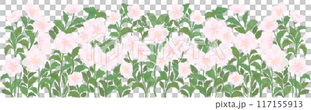 rose of sharon 117155913