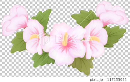 rose of sharon 117155933