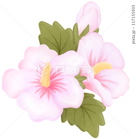 rose of sharon 117155935