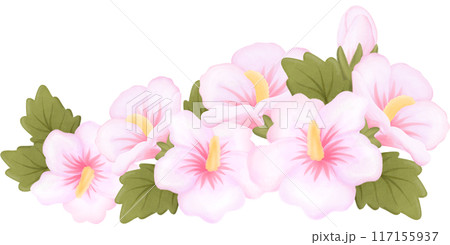 rose of sharon 117155937