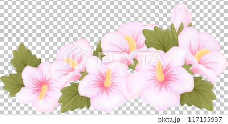 rose of sharon 117155937