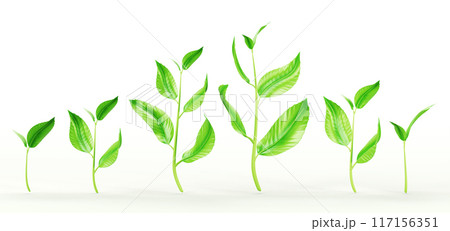 Green sprout, stem with leaves, plant shoot 3d render icon set. Realistic seedling growth, small sapling of tree or flower, sprig with leaf design element isolated on white background. 3D illustration Green sprout, stem with leaves, plant shoot 3d render icon set. Realistic seedling growth, small sapling of tree or flower, sprig with leaf design element isolated on white background. 3D illustration 117156351
