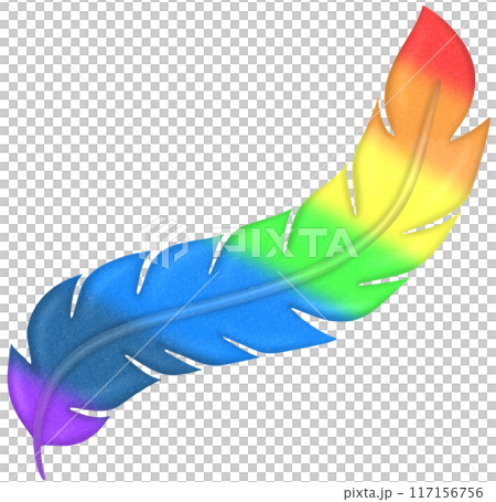 rainbow feathers 117156756