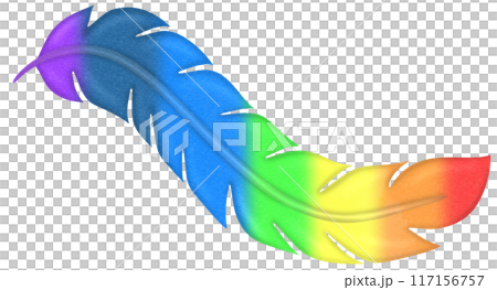rainbow feathers 117156757