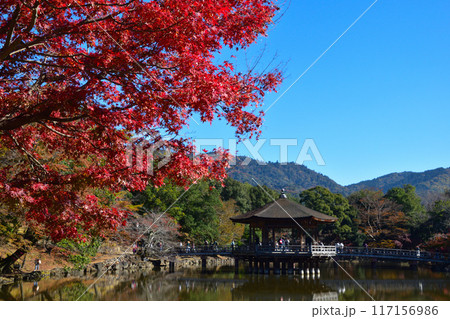 秋　奈良公園　浮見堂 117156986