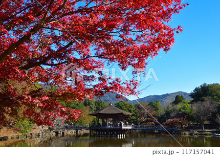 秋 奈良公園 浮見堂 秋 奈良公園 浮見堂 117157041