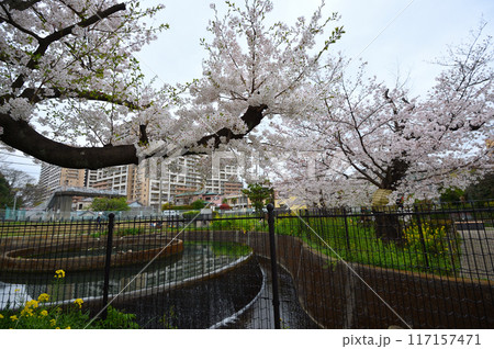 二ヶ領用水久地円筒分水 117157471