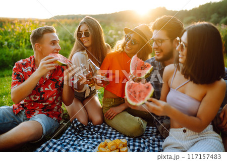 Cheerful company on sunny meadow at picnic is resting, drinking beer, cheers. Holliday concept. Cheerful company on sunny meadow at picnic is resting, drinking beer, cheers. Holliday concept. 117157483
