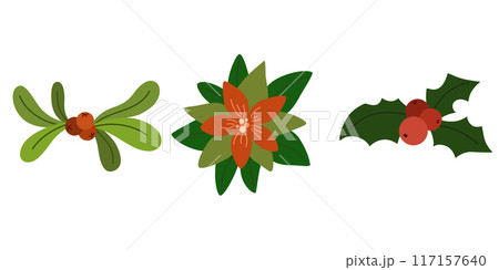 2249_christmas_plant 117157640