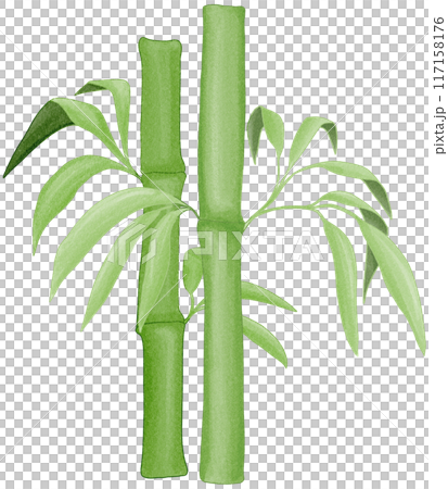 bamboo 117158176