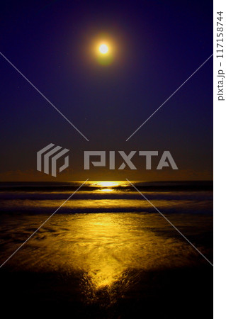 神秘の満月の夜 神秘の満月の夜 117158744
