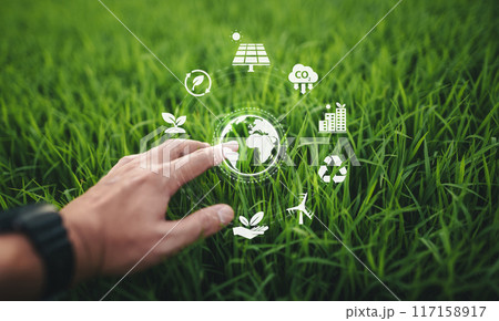 ESG environment concept,Hand touching globe icon in natural grass background, energy saving and nature conservation concept. 117158917