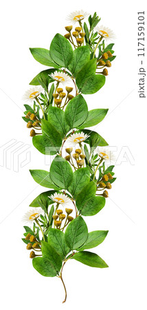 Green leaves and wild flowers in a floral line arrangement isolated on white background Green leaves and wild flowers in a floral line arrangement isolated on white background 117159101