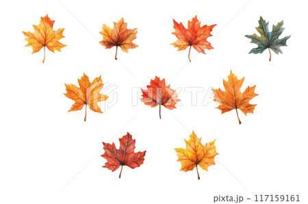 水彩タッチの秋の紅葉のイラスト 117159161