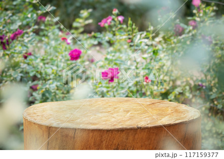 Empty old tree stump table top with blur rose garden background for product display 117159377