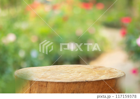 Empty old tree stump table top with blur rose garden background for product display 117159378